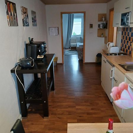 Kleine Wohnung Fuer Monteure Und Dienstreisen ツウィッカウ エクステリア 写真